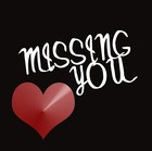Picture for song 'Missing You (Free Download)' by artist 'Cam On The Beat'