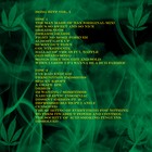 Picture for song 'Almost Gave Up (1998)' by artist 'Cannabis Sativa'