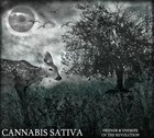 Picture for song 'Strawberry Mold (2004)' by artist 'Cannabis Sativa'