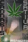 Picture for song 'That Was Mine (Not Yours)' by artist 'Cannabis Sativa'