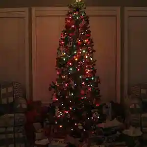 Picture for song 'Christmas Time Is On The Way' by artist 'Chad Pike'