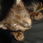 Picture for song 'Hold Me Love (Acoustic)' by artist 'Charly'