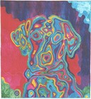 Picture for song 'Techno-Like (sounds lik: Cold Play)' by artist 'Chase D'