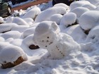 Picture for song 'Inside This Flake Of Snow (2006)' by artist 'Chinup'