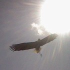 Picture for song 'Life's No Rehearsal' by artist 'Christine 1'