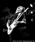 Picture for song 'JMP100 Gary Moore Type Tone' by artist 'Chris White (UK)'