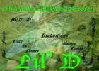 Picture for song 'M.D.K. - LIL DRASTIC' by artist 'CHRONICLY CHALLENGED RECORDS'