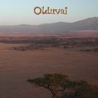 Picture for song 'Olduvai' by artist 'Clark Engbrecht'