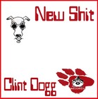 Picture for song '07 - LIFE (freestyle) feat. Stylus & Mr. Fontaine' by artist 'Clint Dogg - New Shit'