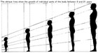 Picture for song 'Childhood & Maturity' by artist 'Compatibles2'