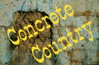 Picture for song 'Sunshine Station (bluegrass version)' by artist 'Concrete Country'