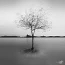 Picture for song 'Here I Stand' by artist 'Crew22'