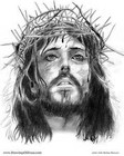 Picture for song 'Angels and Demons (Under a Thorny Crown)' by artist 'CrossOver2'