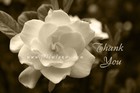 Picture for song 'Thank You' by artist 'Da'Marcus'