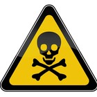 Picture for song 'Poison (Sold Out)' by artist 'Damie Muzick'