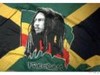 Picture for song 'LA VASCULA DEL TIEMPO - JAMAICA TIMES' by artist 'D'ANDRE's PRODUCTIONS'
