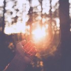 Picture for song 'Early Mornings | Free DL!' by artist 'DanteDesperado'