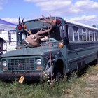 Picture for song 'Bus Stop' by artist 'Dash Murdoch'