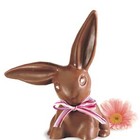 Picture for song 'Chocolate Bunny REMIX' by artist 'dAVE(APLUS)'