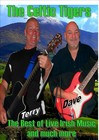 Picture for song 'CELTIC TIGERS ROCK & EAGLES' by artist 'DAVE BLISS'