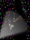 Picture for song 'THE DANCE' by artist 'Dave Sandland'