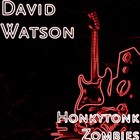 Picture for song 'YOU'RE STILL WITH HIM (On Hold With Joe Nicholes)' by artist 'DAVID E WATSON'