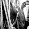 Picture for song 'Upright Bass' by artist 'D-Classified'