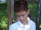 Picture for song 'Steven's Song.mp3' by artist 'Deana Wilson'