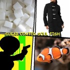 Picture for song 'You Can't Lose!' by artist 'Dekko'