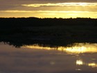 Picture for song 'you are special to me' by artist 'denis (anguilla)'