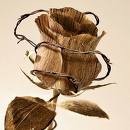 Picture for song 'deserving' by artist 'dennis solinger'