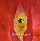 Picture for song 'Bass Lament' by artist 'Dereck Higgins'