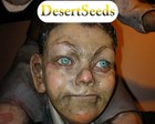 Picture for song '001_I Lift My Eyes_DesertSeeds_CCYM_SC09' by artist 'Desert Seeds'