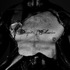 Picture for song 'The Reason' by artist 'Despite Behavior'