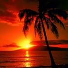 Picture for song 'Life Is Beautiful' by artist 'Diamond Vybe Productions'