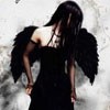 Picture for song 'Raven' by artist 'Distortion Theory'