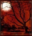 Picture for song 'Peace through the Darkness(Preview)' by artist 'DJ Ano'