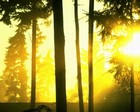 Picture for song 'Ends Of The Earth' by artist 'DJ AZ'