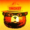 Picture for song 'Smokey the Bear vs. Friendly Fire' by artist 'DJ Chiyo'