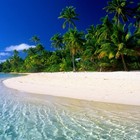 Picture for song 'Wav-E - Dream Beach' by artist 'Branko Stojanovski'