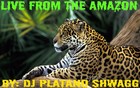 Picture for song 'Live From The Amazon by DJ Platano Shwagg' by artist 'DJ Platano Shwagg'