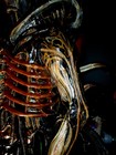 Picture for song 'Alien' by artist 'Dj Redbulls'