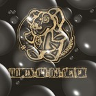 Picture for song 'Loituma's Polka remix by Dj Seven' by artist 'Dj SevN'