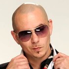 Picture for song '*Sold!* Top End (Pitbull, House Club Beat!)' by artist 'DJ Shaw-t'