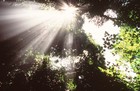 Picture for song 'Tessitura' by artist 'DJ Shockaleven'