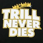 Picture for song 'TRILLEST' by artist 'DMoney In Da Building!'