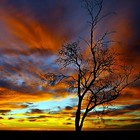 Picture for song 'SunRise' by artist 'DMVKELLZ'