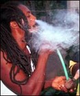 Picture for song 'I'm Smokin On (Slowed)' by artist 'DoshaRecords'