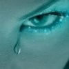 Picture for song 'Born To Lose' by artist 'Dreamsong'