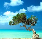 Picture for song 'Drama Theme #13' by artist 'DrEaMzMuSiK'